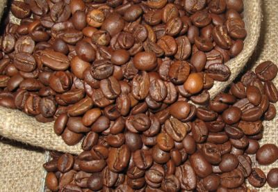 productores de granos tostados de café