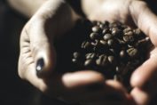 Beneficios del café en grano