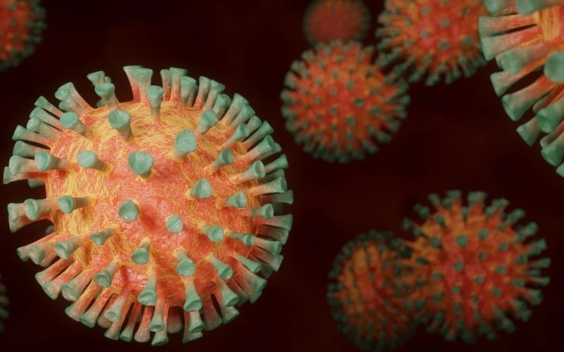 Variante del coronavirus en Brasil