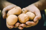 Patatas